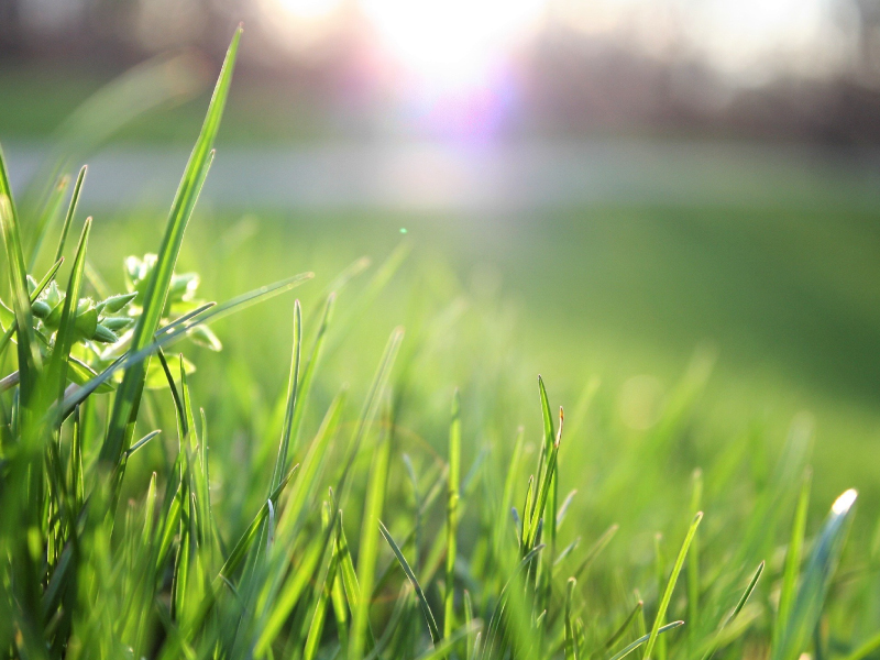 Extreme Sports Biking